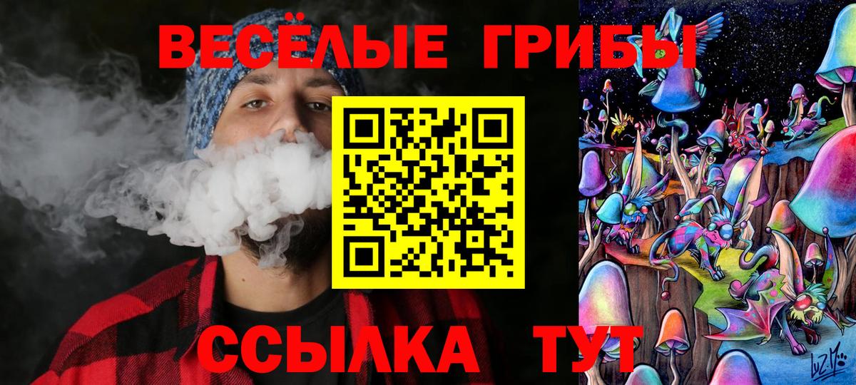 Псилоцибиновые грибы Magic Shrooms Лыткарино