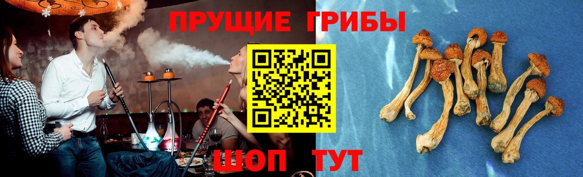 Галлюциногенные грибы прущие грибы  Вход с VPN  Лыткарино 